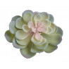 Sukulent Echeveria 11x14cm - sztuczna roślina