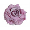 Główka róży 6szt/paczka..11cm - sztuczna roślina