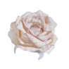 Główka róży 6szt/paczka..11cm - sztuczna roślina