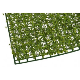 Mata rzęsa drobna..40x60cm