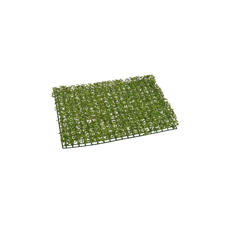 Mata rzęsa drobna..40x60cm