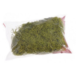 Tilancia moss kolor 100g