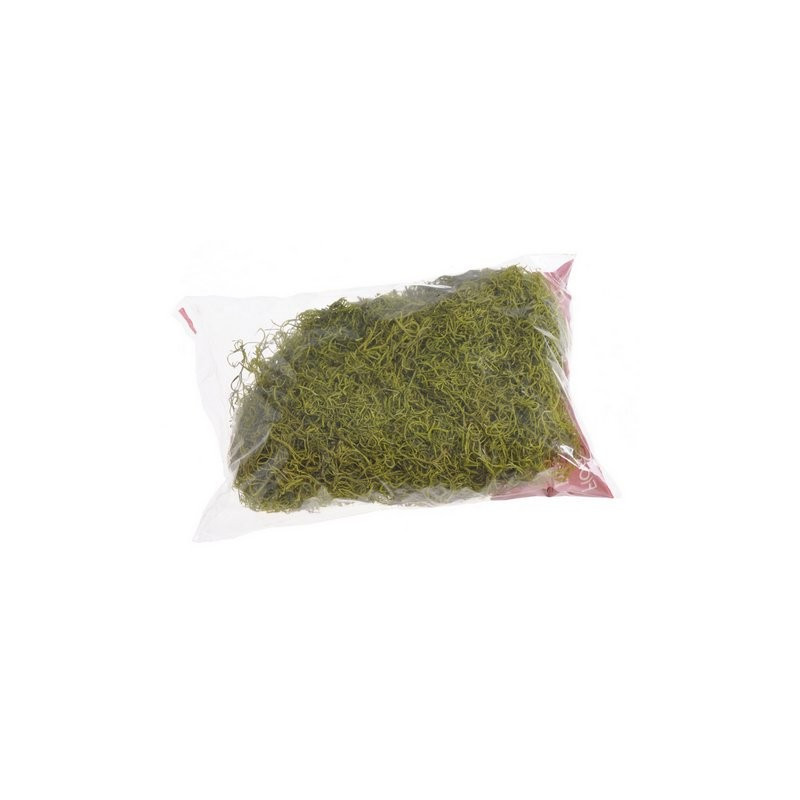 Tilancia moss kolor 100g