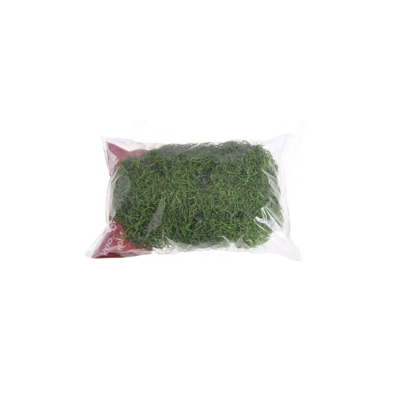 Tilancia moss kolor 100g