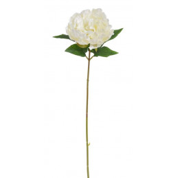 Piwonia x1...57 cm - sztuczna roślina