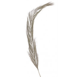 Date widdle 1m 400 szt/kpl