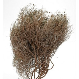Ciuffo 4kg natura - susz ozdobny