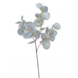 Eucaliptus populus..80 cm - sztuczna roślina