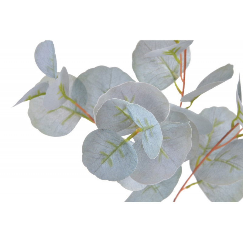Eucaliptus populus..80 cm - sztuczna roślina