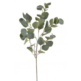 Eucaliptus populus..85 cm - sztuczna roślina