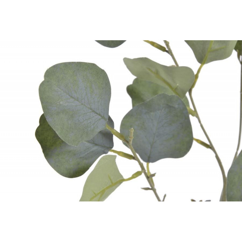 Eucaliptus populus..85 cm - sztuczna roślina
