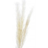 Trawa pampasowa 3szt-paczka..160 cm CREAM - susz dekoracyjny