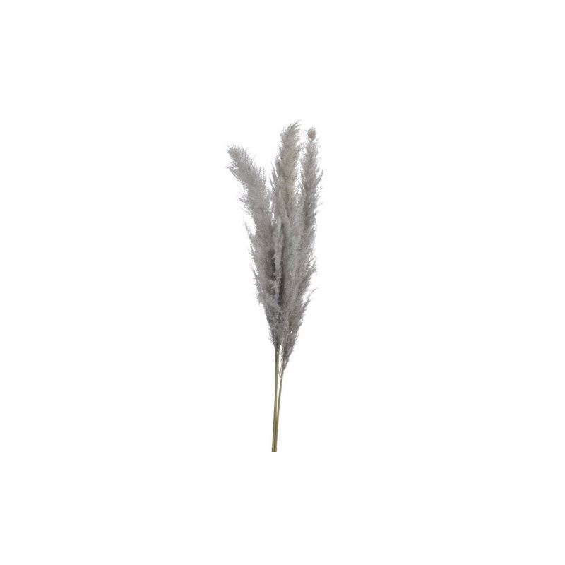 Trawa pampasowa 3szt-paczka..160 cm NATURAL - susz dekoracyjny