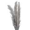 Trawa pampasowa 3szt-paczka..160 cm NATURAL - susz dekoracyjny
