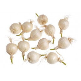 Cebula...6 cm...12szt/pacz - art. dekoracyjny