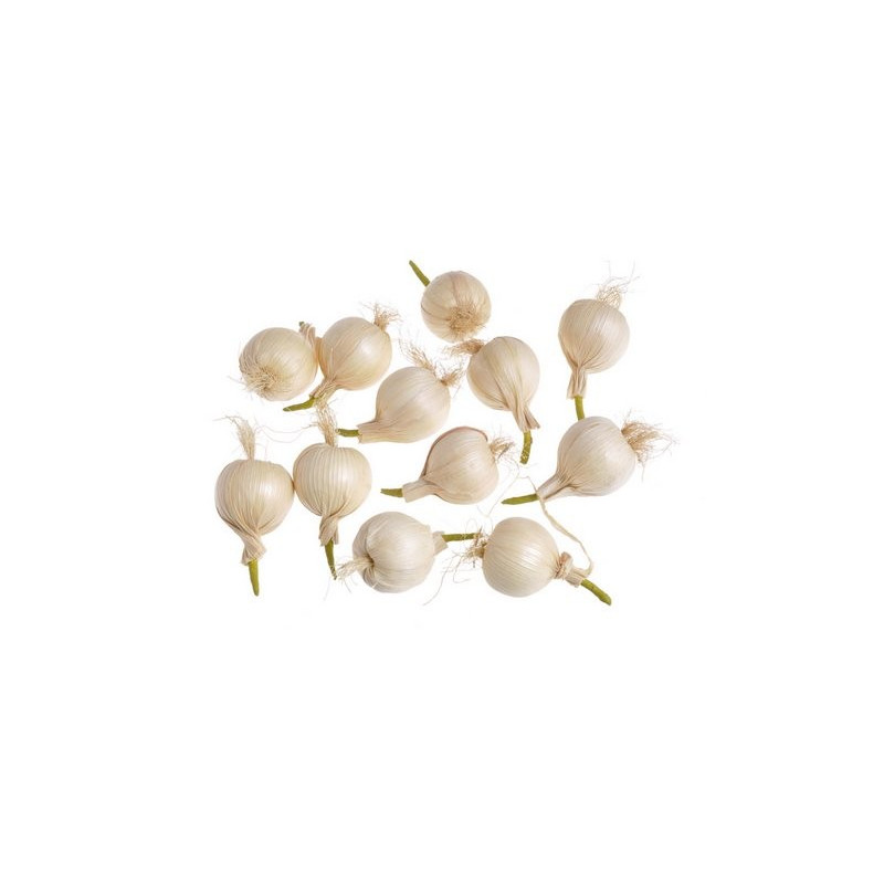 Cebula...6 cm...12szt/pacz - art. dekoracyjny