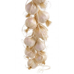 Czosnek warkocz (18 szt)..65 cm - art. dekoracyjny