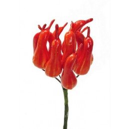 Tykwa pomarańcz. mini 12sztuk-pęczek. x12..H5cm/13 cm - artykuł dekoracyjny