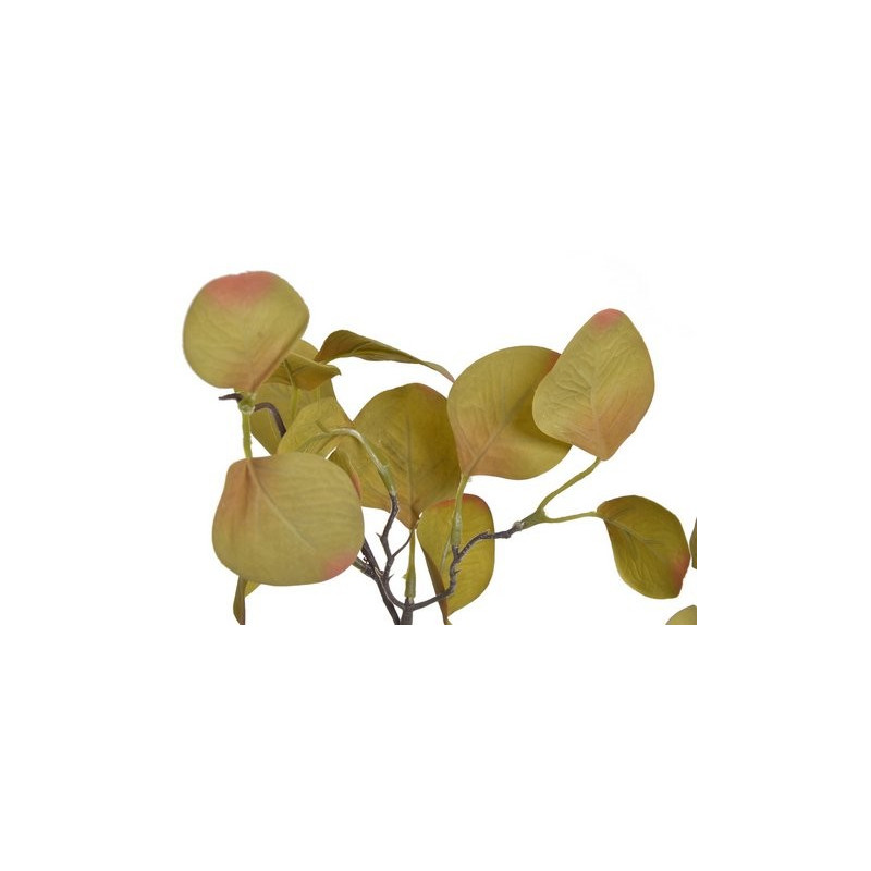 Eukaliptus populus 70 cm - sztuczna roślina