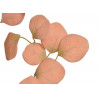 Eukaliptus populus 70 cm - sztuczna roślina