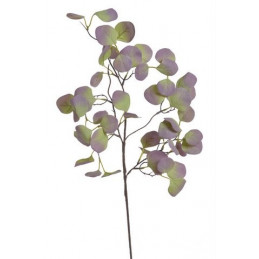 Eukaliptus populus 70 cm - sztuczna roślina
