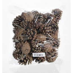 Szyszka czarna sosna - Pinus Niger EKSTRA paczka 500g 5-8cm