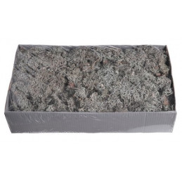 GREY MOSS 48x28x10cm 500g - susz dekoracyjny