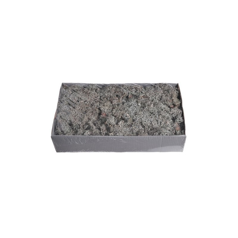 GREY MOSS 48x28x10cm 500g - susz dekoracyjny