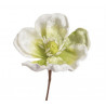Główka magnolii - Baby magnolia..8-12 cm - art. dekoracyjny
