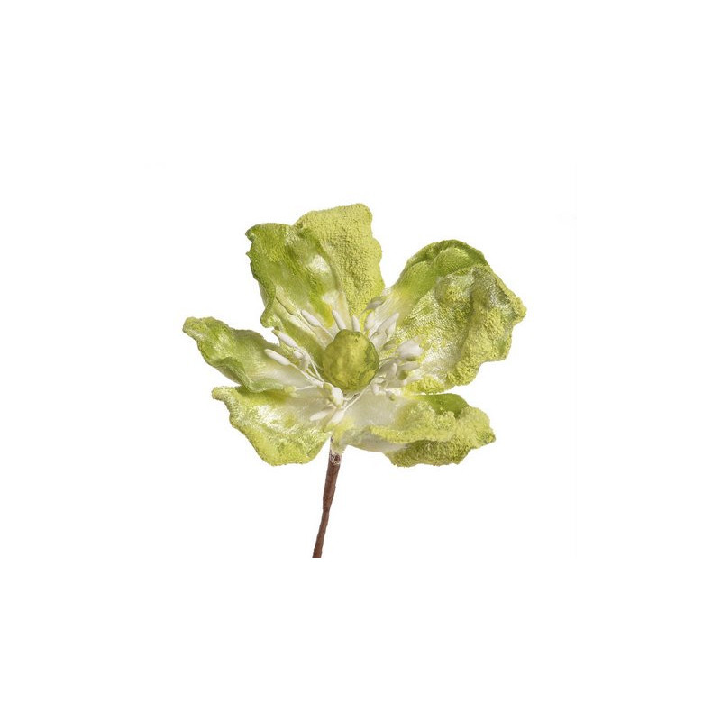 Główka magnolii - Baby magnolia..8-12 cm - art. dekoracyjny