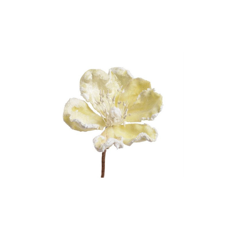 Główka magnolii - Baby magnolia..8-12 cm - art. dekoracyjny