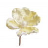 Główka magnolii - Baby magnolia..8-12 cm - art. dekoracyjny