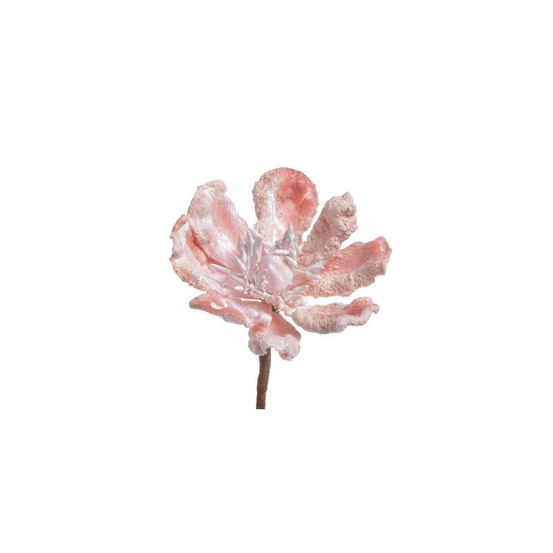 Główka magnolii - Baby magnolia..8-12 cm - art. dekoracyjny