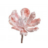 Główka magnolii - Baby magnolia..8-12 cm - art. dekoracyjny