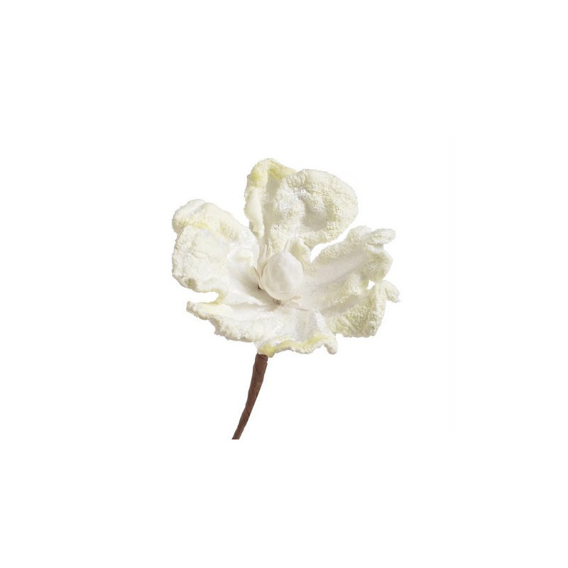 Główka magnolii - Baby magnolia..8-12 cm - art. dekoracyjny