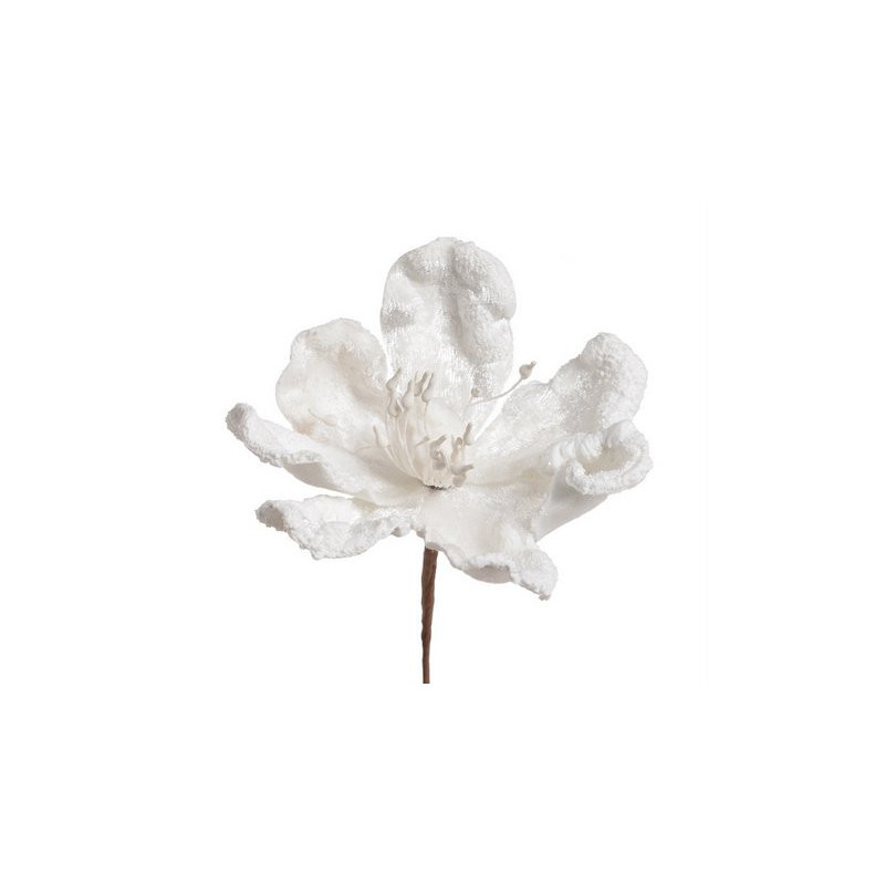 Główka magnolii - Baby magnolia..8-12 cm - art. dekoracyjny