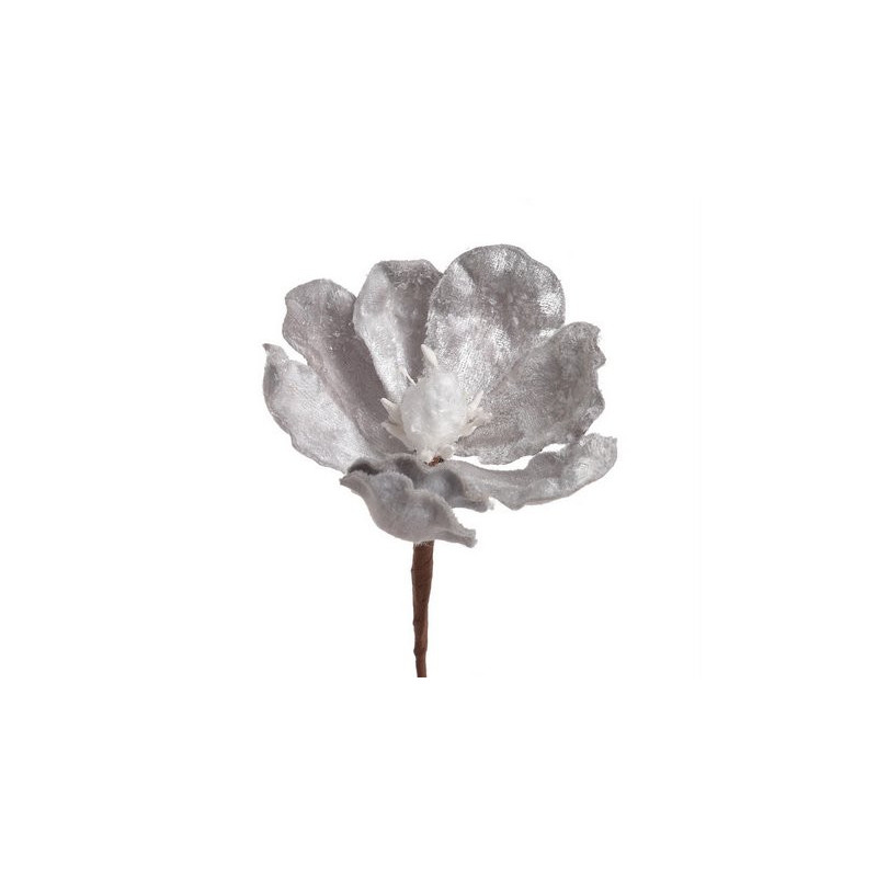 Główka magnolii zimowa - Baby magnolia..8-12 cm - art. dekoracyjny