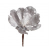 Główka magnolii zimowa - Baby magnolia..8-12 cm - art. dekoracyjny