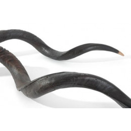 Kudu horn 101cm - syntetyczne rogi kudu