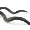 Kudu horn 101cm - syntetyczne rogi kudu