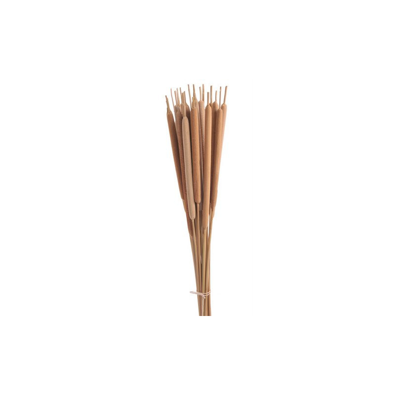 Pałka wodna Hogla large 25szt/paczka..70 cm