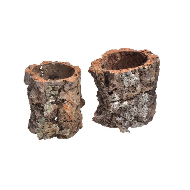 Casca oca 9x10 - kora