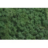 Mech chrobotek reniferowy - Island moss prep. pacz. 250 g - mech preparowany MOSS GREEN