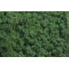 Mech chrobotek reniferowy - Island moss prep. pacz. 500 g - mech preparowany MOSS GREEN