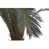 Cykas w doniczce..120cm - sztuczna roślina