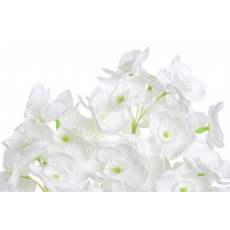 Bukiet żonkili x9..65 cm