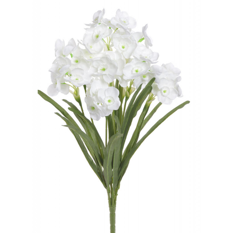 Bukiet żonkili x9..65 cm