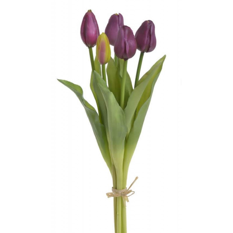 Tulipan gumowy 38cm 5szt/pęczek - szt. roślina