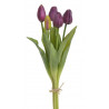 Tulipan gumowy 38cm 5szt/pęczek - szt. roślina