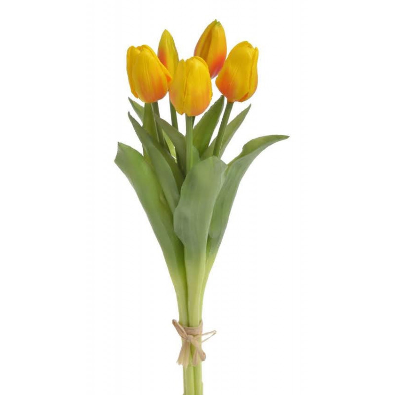 Tulipan gumowy 38cm 5szt/pęczek - szt. roślina